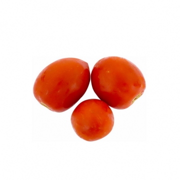 三颗圣女果西红柿248436免抠图片素材