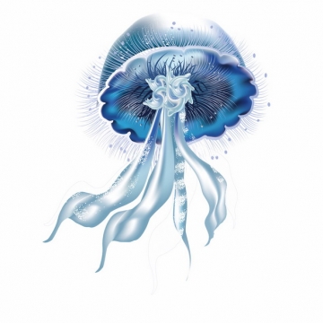 蓝紫色的赤月水母海蜇插画938641png图片素材