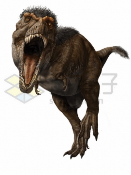 张嘴咬过来的长毛的霸王龙大型食肉恐龙png图片免抠素材