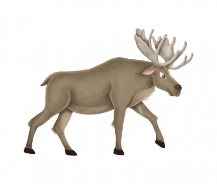 手绘风格的驯鹿野生动物图片免抠素材