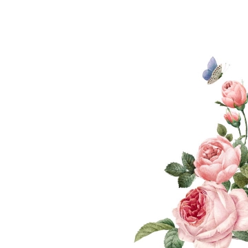 粉色牡丹花花丛边角装饰图片免抠素材