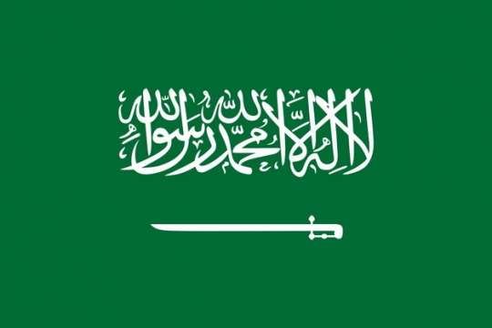 标准版沙特阿拉伯国旗图片素材