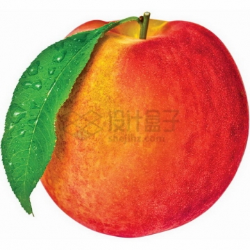 带叶子的红黄相间的桃子无锡水蜜桃png图片素材