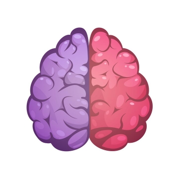 两种颜色标识的人体大脑免抠矢量图片素材