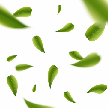 飘落在半空中的绿色树叶茶叶png图片免抠eps矢量素材