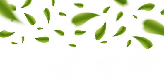 飘落的绿色树叶茶叶装饰png图片免抠eps矢量素材