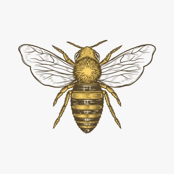 彩绘风格蜜蜂小昆虫免抠矢量图素材