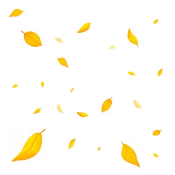 秋天飘舞的黄色树叶免抠PNG图片素材