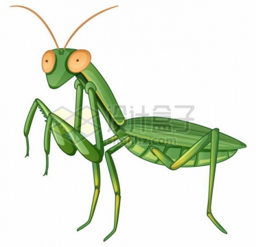 一只绿色的螳螂小昆虫png图片免抠矢量素材
