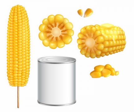糯香的玉米棒子玉米粒和玉米罐头等玉米制品美食png图片免抠矢量素材