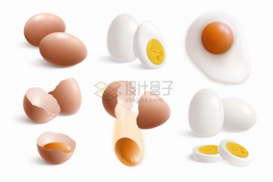 生鸡蛋剥壳的熟鸡蛋煎蛋等美味美食png图片免抠矢量素材