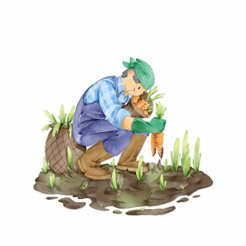 手绘插画拔萝卜的农民干农活png图片免抠素材