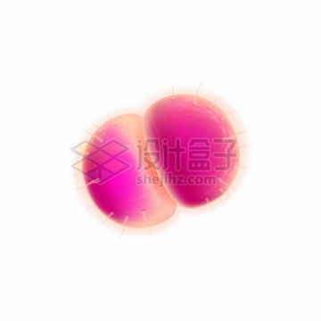 粉红色3D立体细菌病毒细胞分裂432206png图片素材