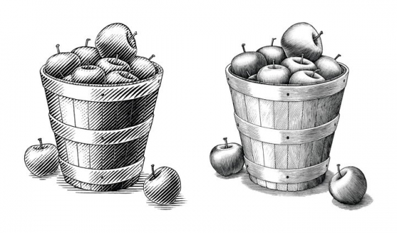 一桶苹果黑色素描图片免抠素材